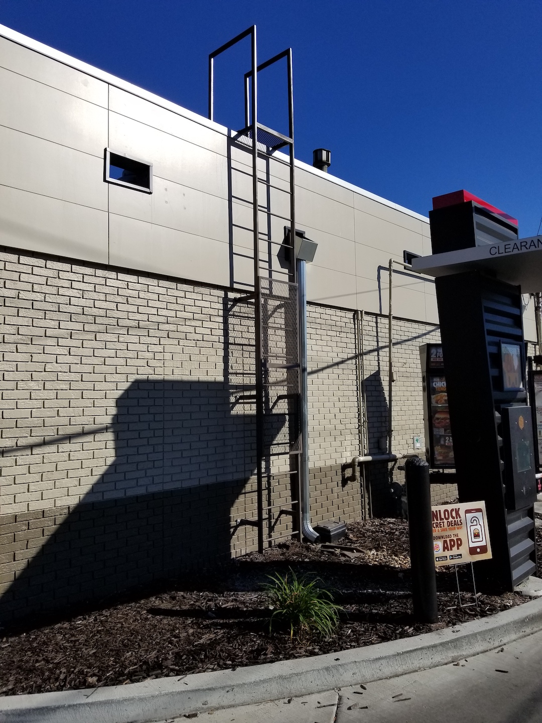 Roof Access Ladder